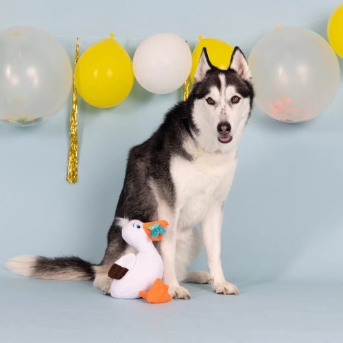 Dog with a toy duck and party hats against a light blue background with balloons