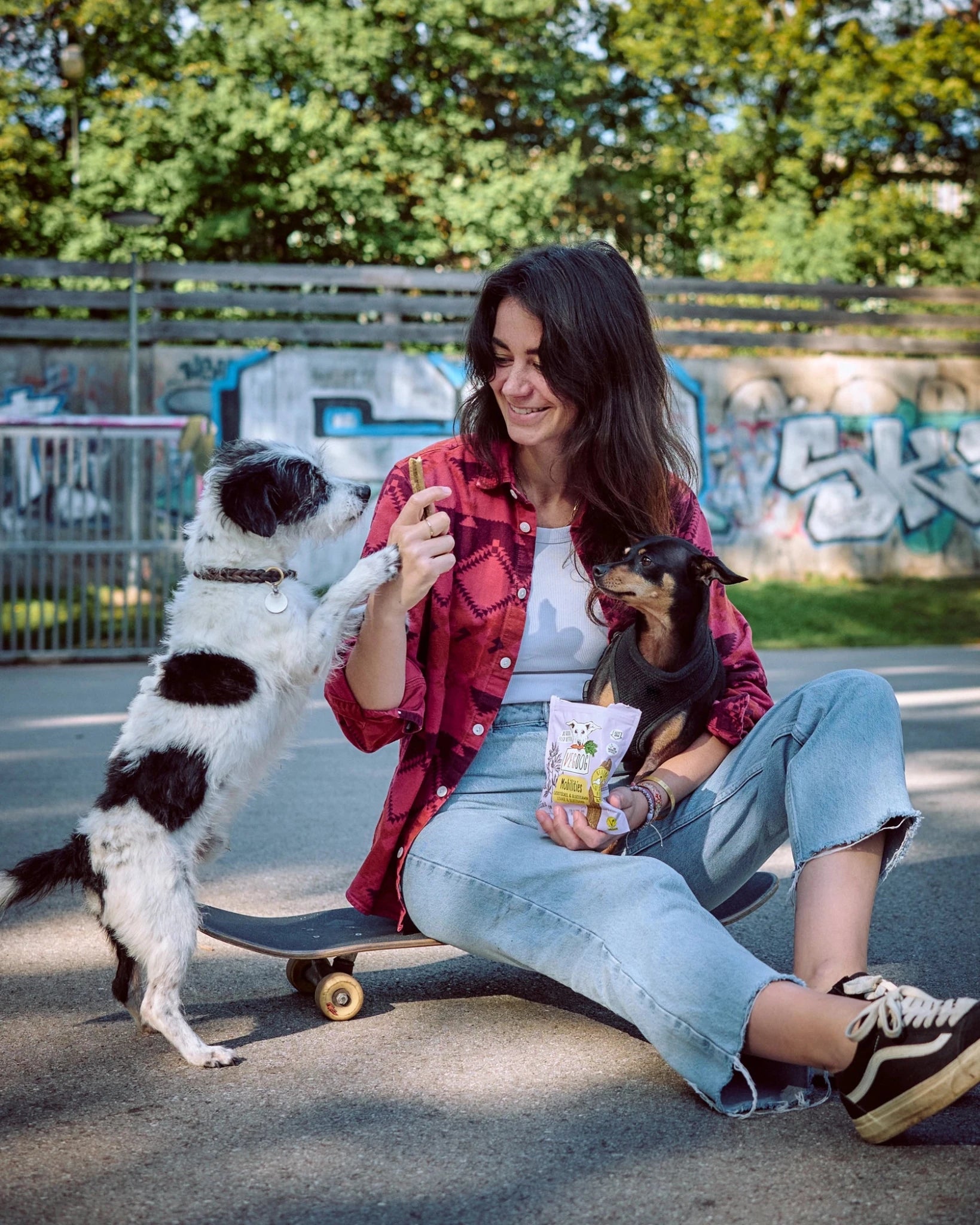 Girl is feeding two dogs with VEGDOG Mobilities on the street in summer