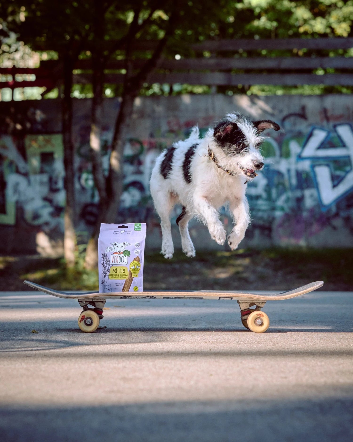 Dog on a skateboard with a package of dog food in the foreground, against a graffiti-covered wall.
