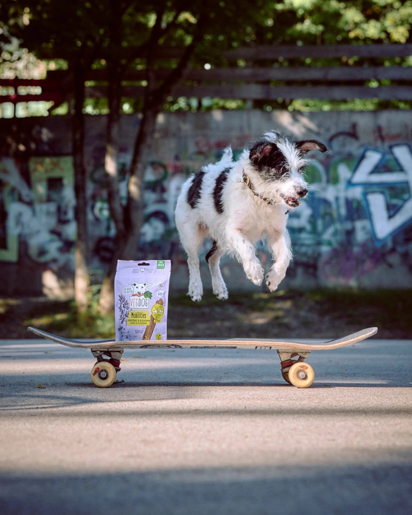 Dog on a skateboard with a package of dog food in the foreground, against a graffiti-covered wall.
