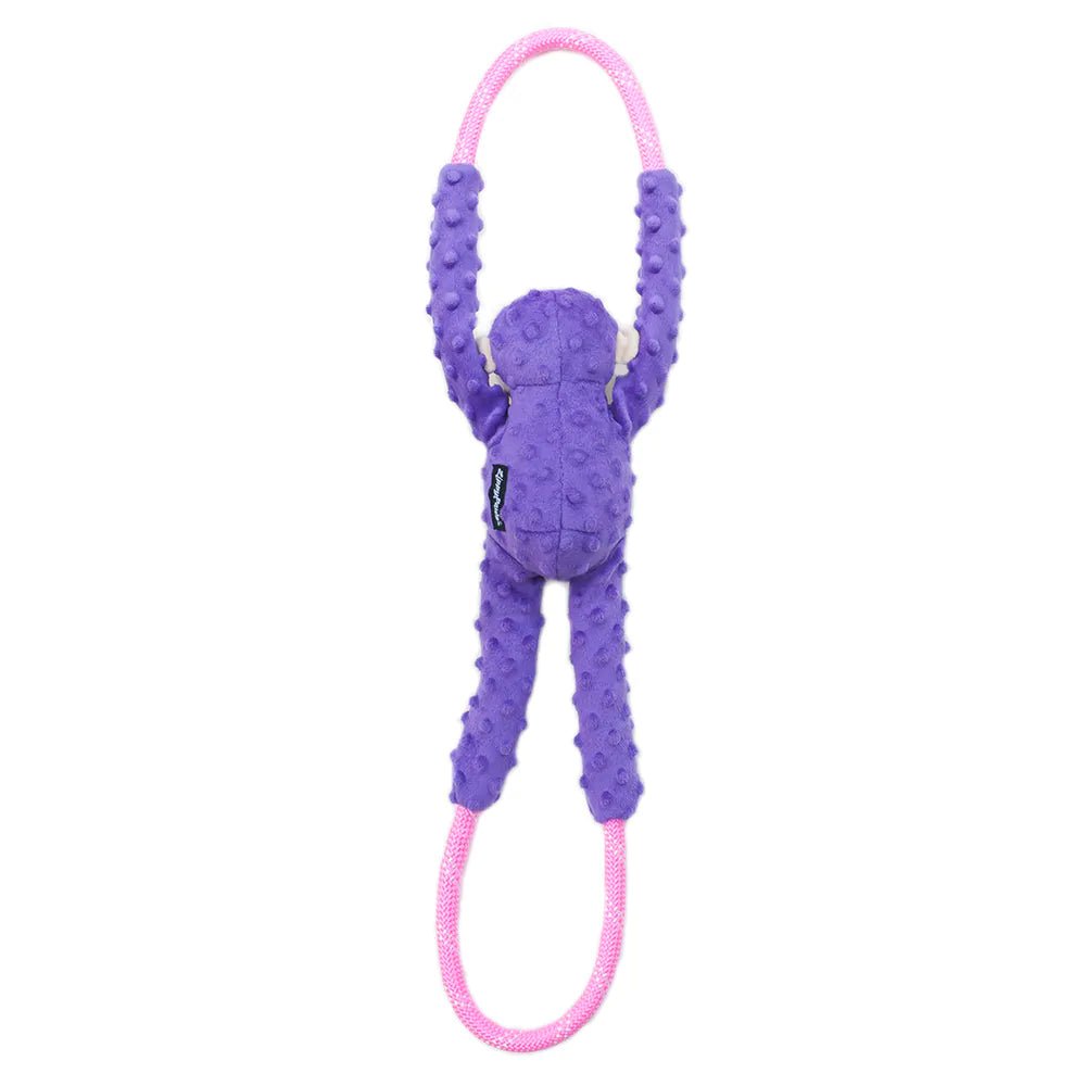 Purple and pink dog toy with a rope on a white background