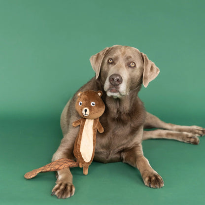 Mr. Gnaw It All™ Beaver Dog Toy | Flat Plush Dog Toy with Squeaker &amp; Crinkle - Share Happy Outfits