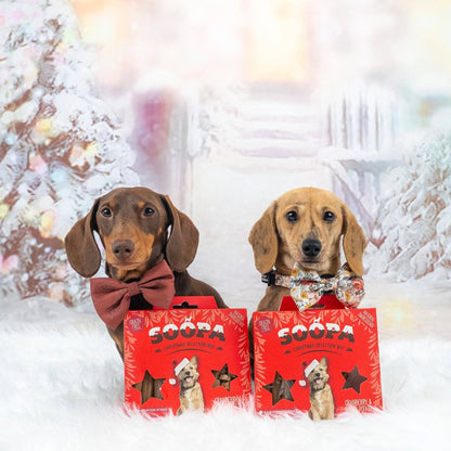 Natural Vegan Christmas Selection Box - Cranberry &amp; Sweet Potato - Share Happy Outfits
