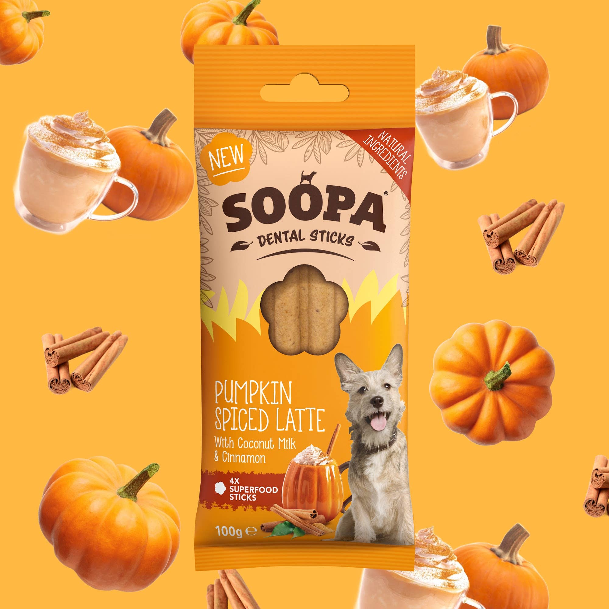Natuurlijke Veganistische Tandheelkundige Sticks - Pompoen Spiced Latte - Share Happy Outfits