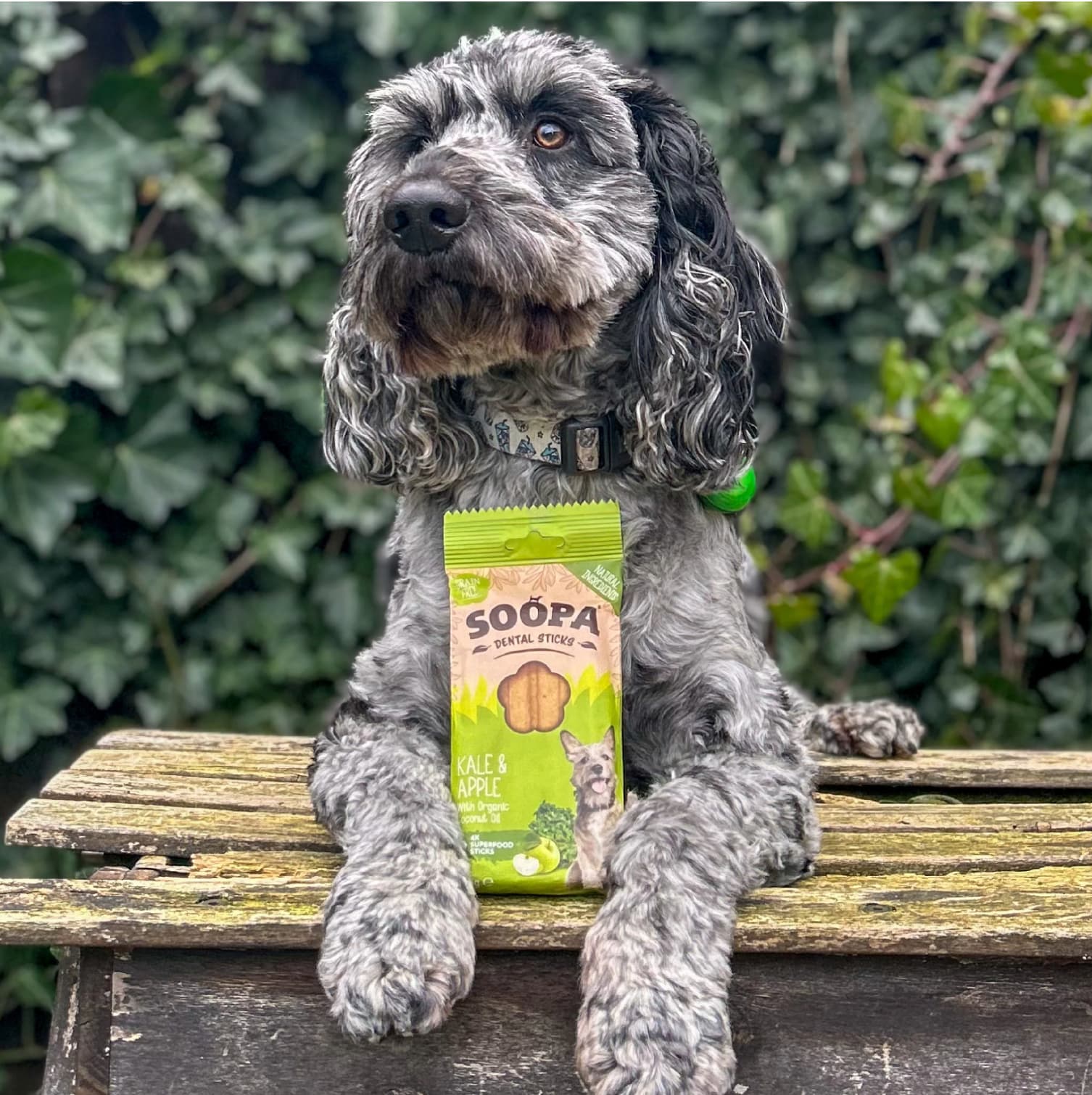 Naturlig vegansk hundetandgodt - Grønkål &amp; Æblestænger - Del glade udklædninger