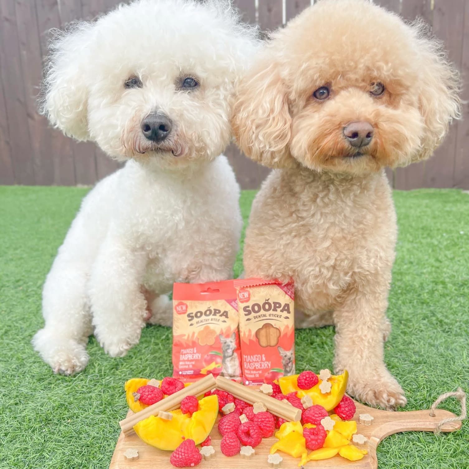 Natural Vegan Dog Dental Treat - Mango &amp; Raspberry Sticks - Share Happy Outfits
