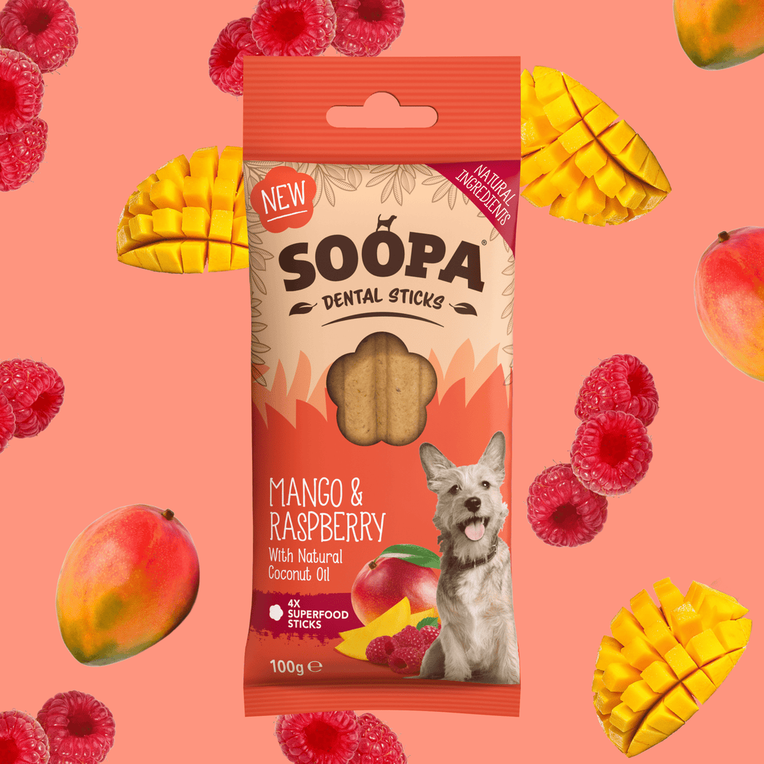 Natural Vegan Dog Dental Treat - Mango &amp; Raspberry Sticks - Share Happy Outfits