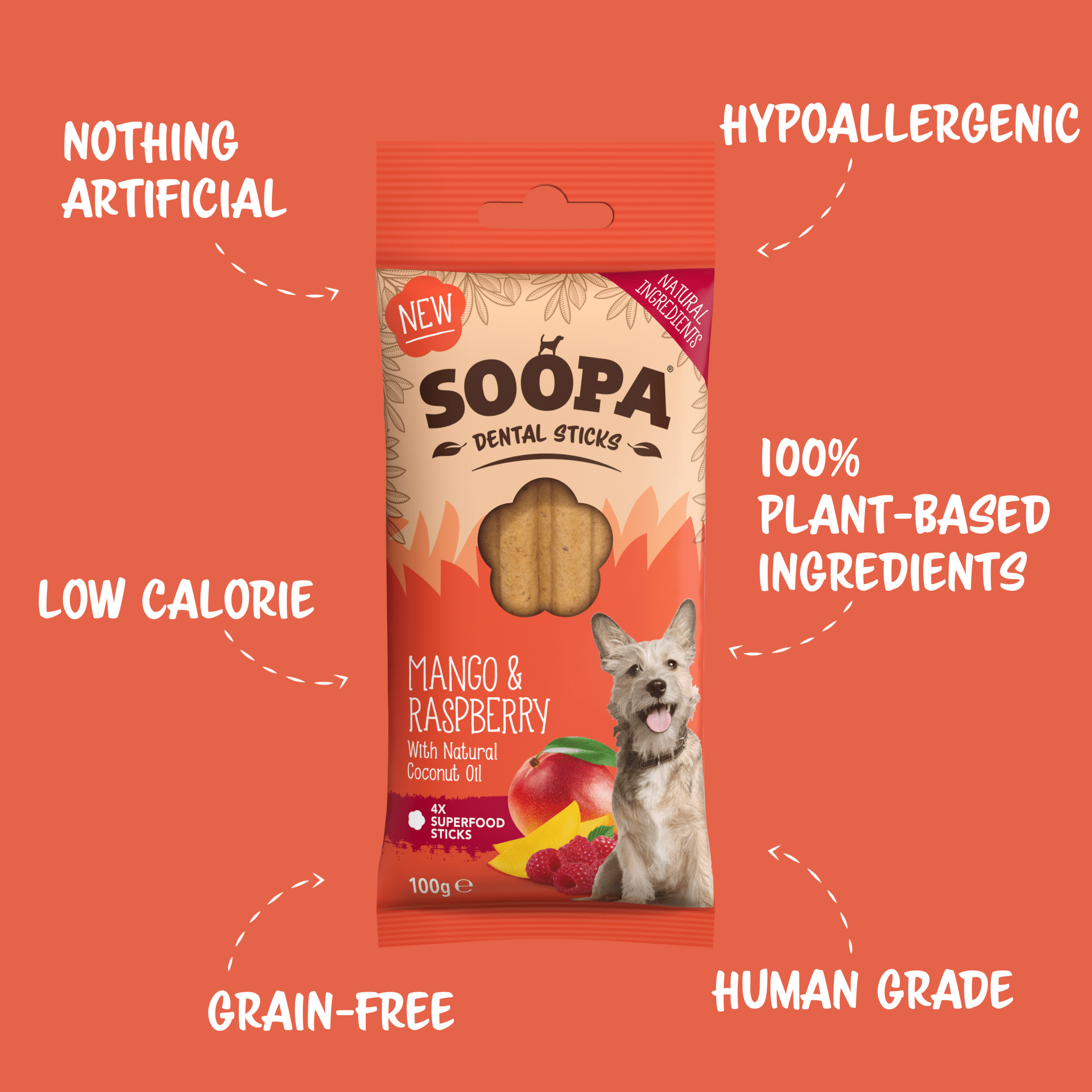 Natural Vegan Dog Dental Treat - Mango &amp; Raspberry Sticks - Share Happy Outfits