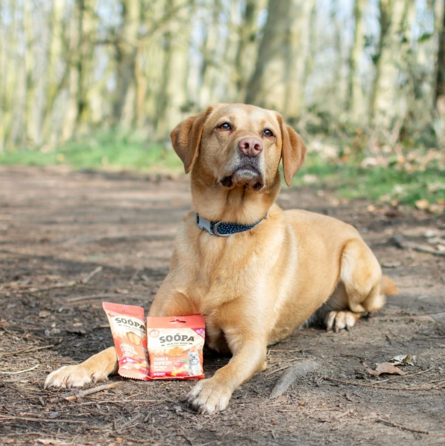 Natural Vegan Dog Dental Treat - Mango &amp; Raspberry Sticks - Share Happy Outfits