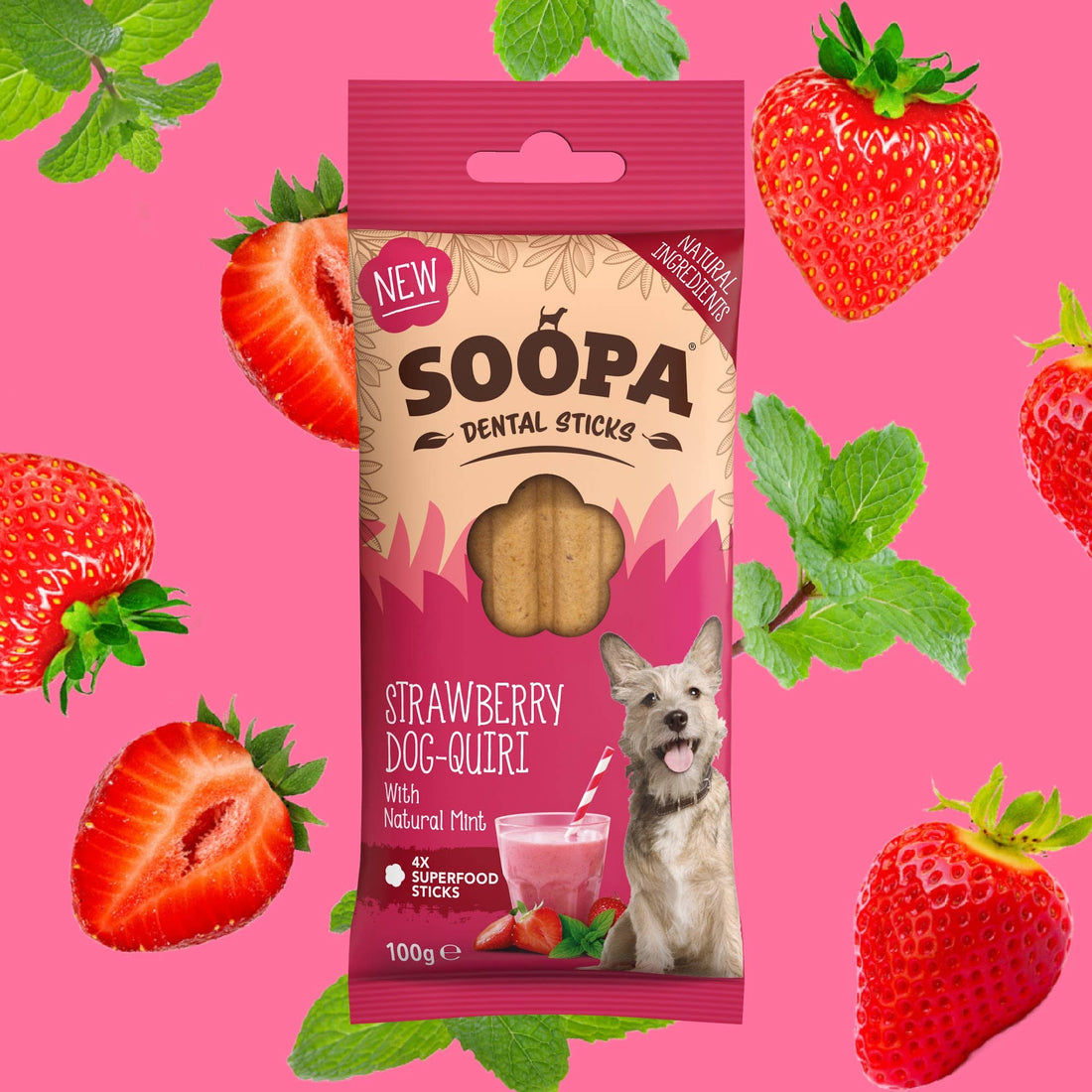 Natural Vegan Dog Dental Treat – Strawberry Dog-Quiri Sticks - Share Happy Outfits