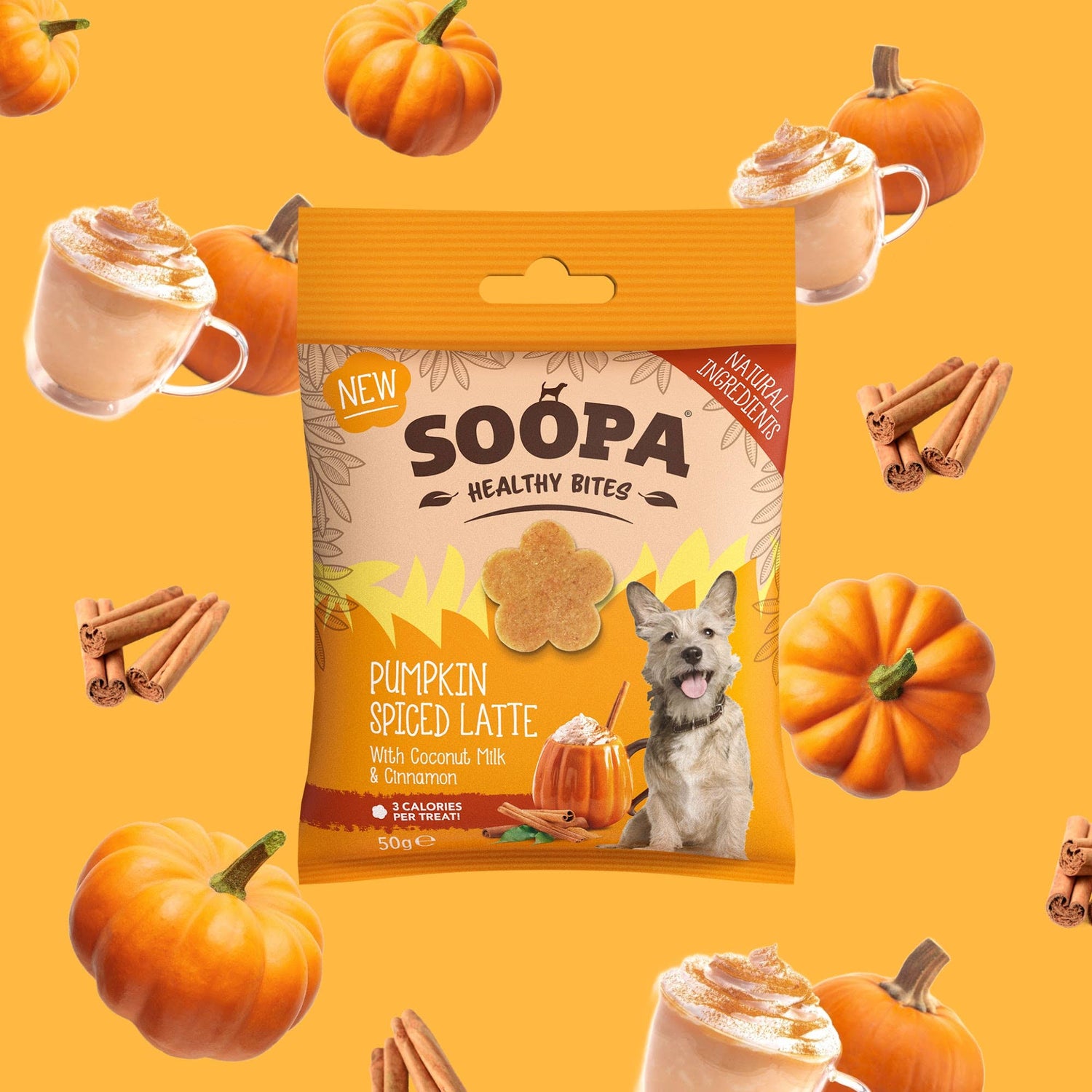 Natural Vegan Dog Healthy Bites - Pumpkin Spiced Latte - Share Happy Outfits