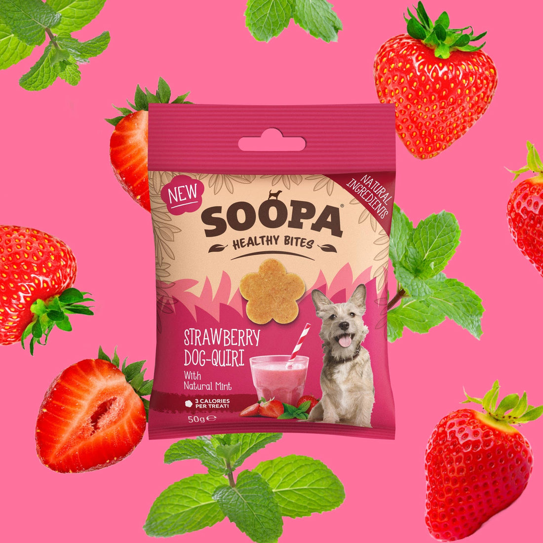 Natural Vegan Dog Healthy Bites – Strawberry Dog-Quiri - Share Happy Outfits