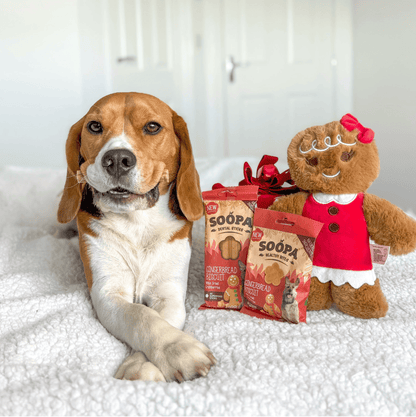 Natural Vegan Gingerbread Biscuit Dental Sticks - Share Happy Outfits