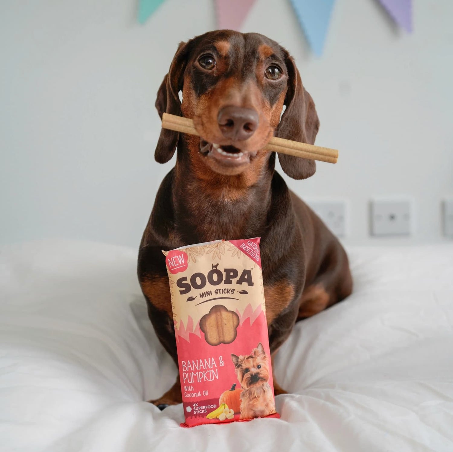 Natural Vegan Mini Dog Dental Treat - Banana &amp; Pumpkin Sticks - Share Happy Outfits