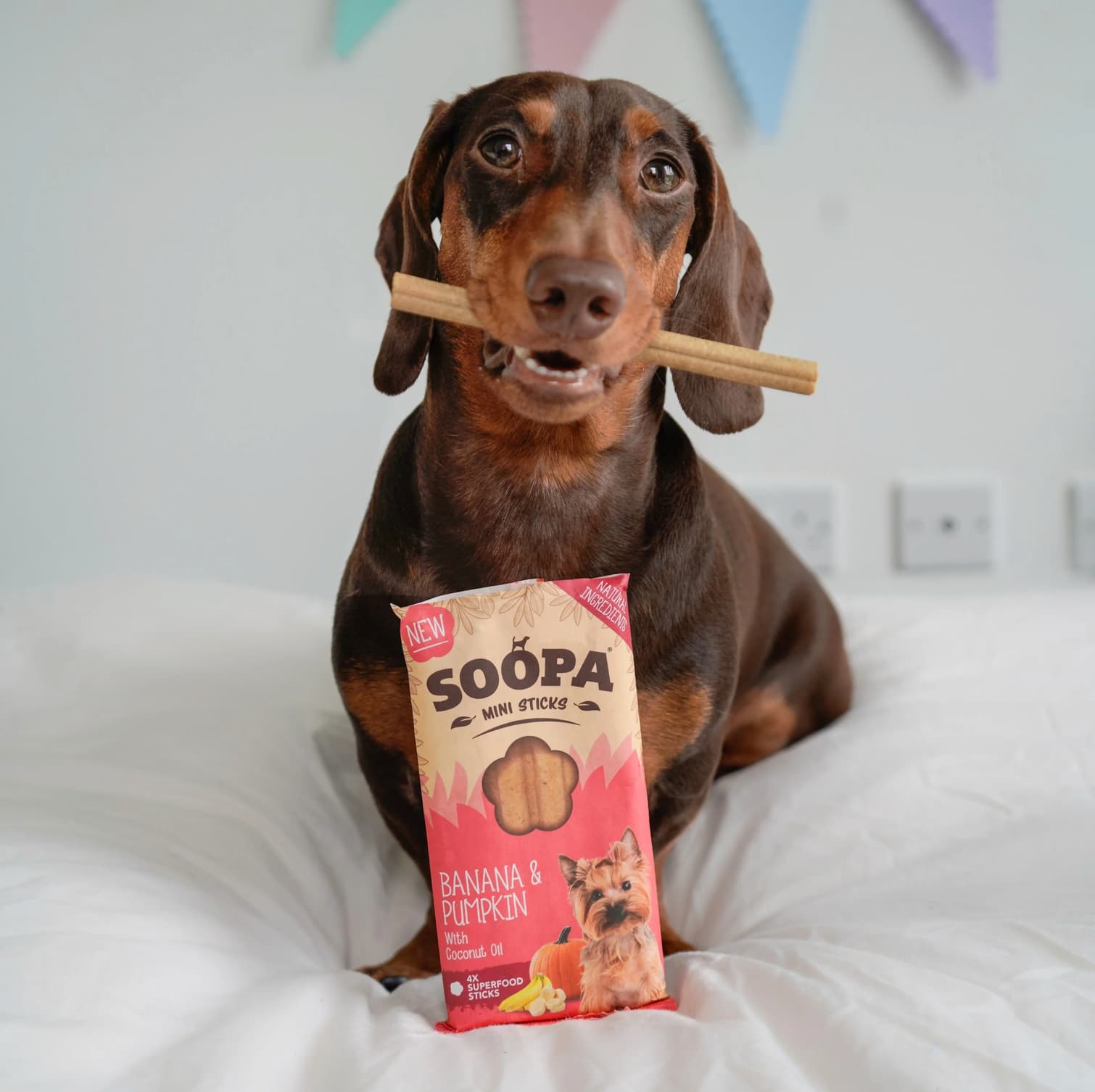 Natural Vegan Mini Dog Dental Treat - Banana &amp; Pumpkin Sticks - Share Happy Outfits
