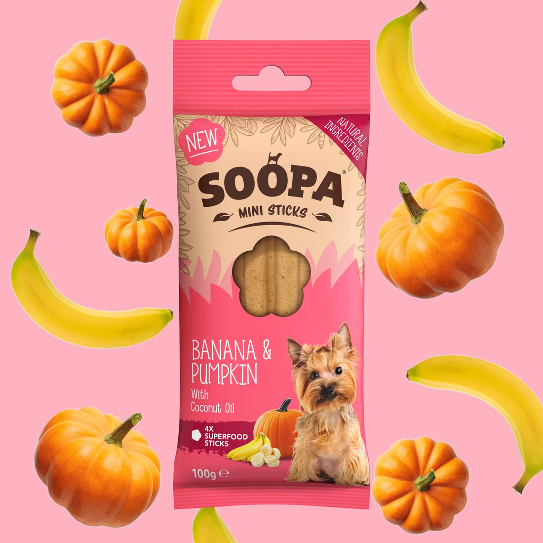 Natural Vegan Mini Dog Dental Treat - Banana &amp; Pumpkin Sticks - Share Happy Outfits