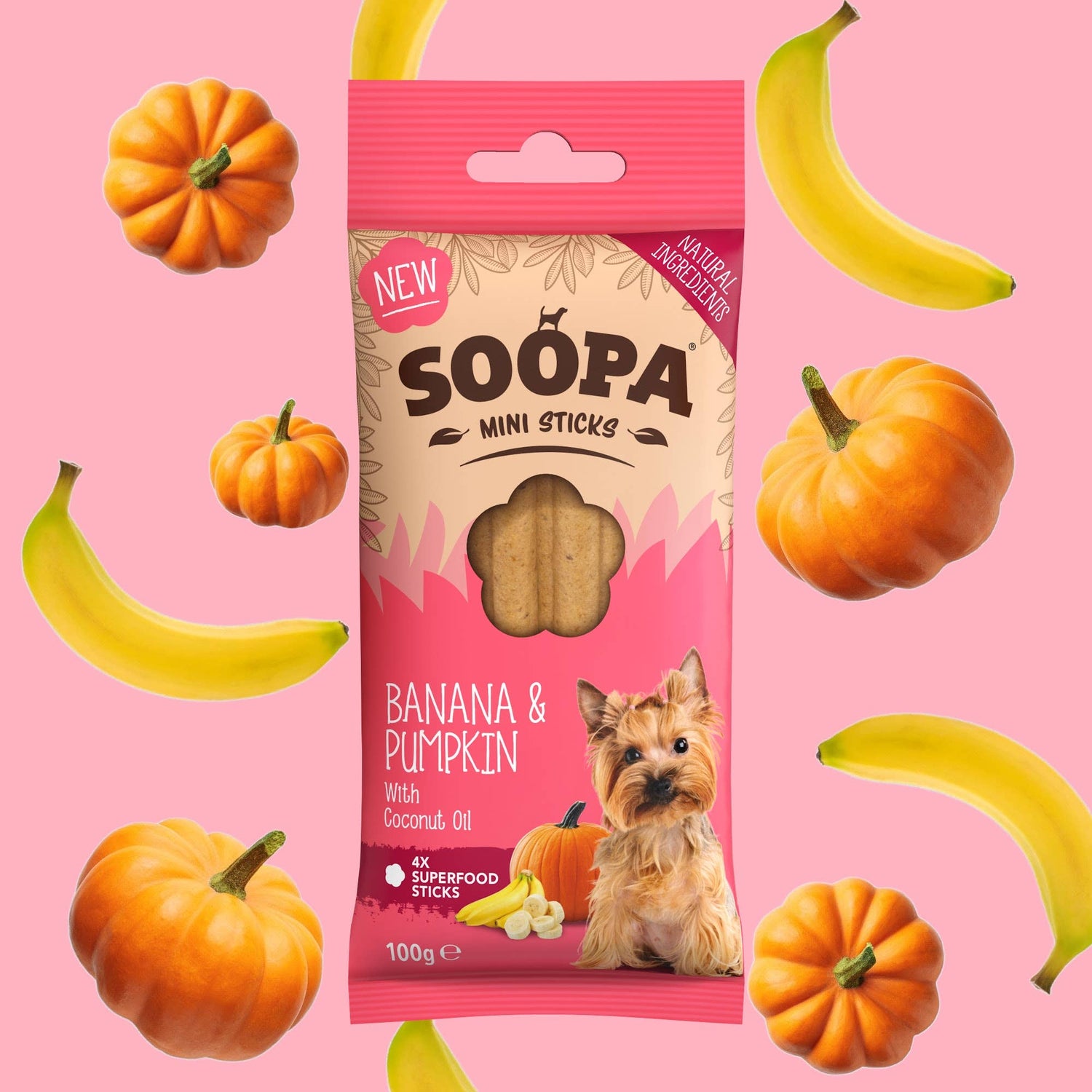 Natural Vegan Mini Dog Dental Treat - Banana &amp; Pumpkin Sticks - Share Happy Outfits