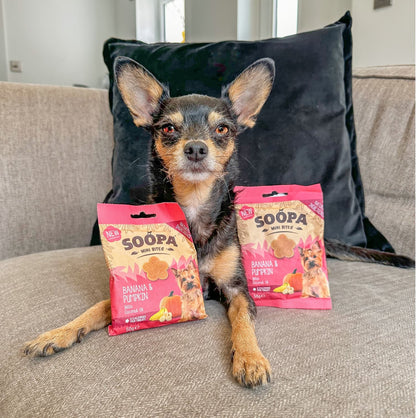 Natural Vegan Mini Dog Healthy Bites - Banana &amp; Pumpkin - Share Happy Outfits