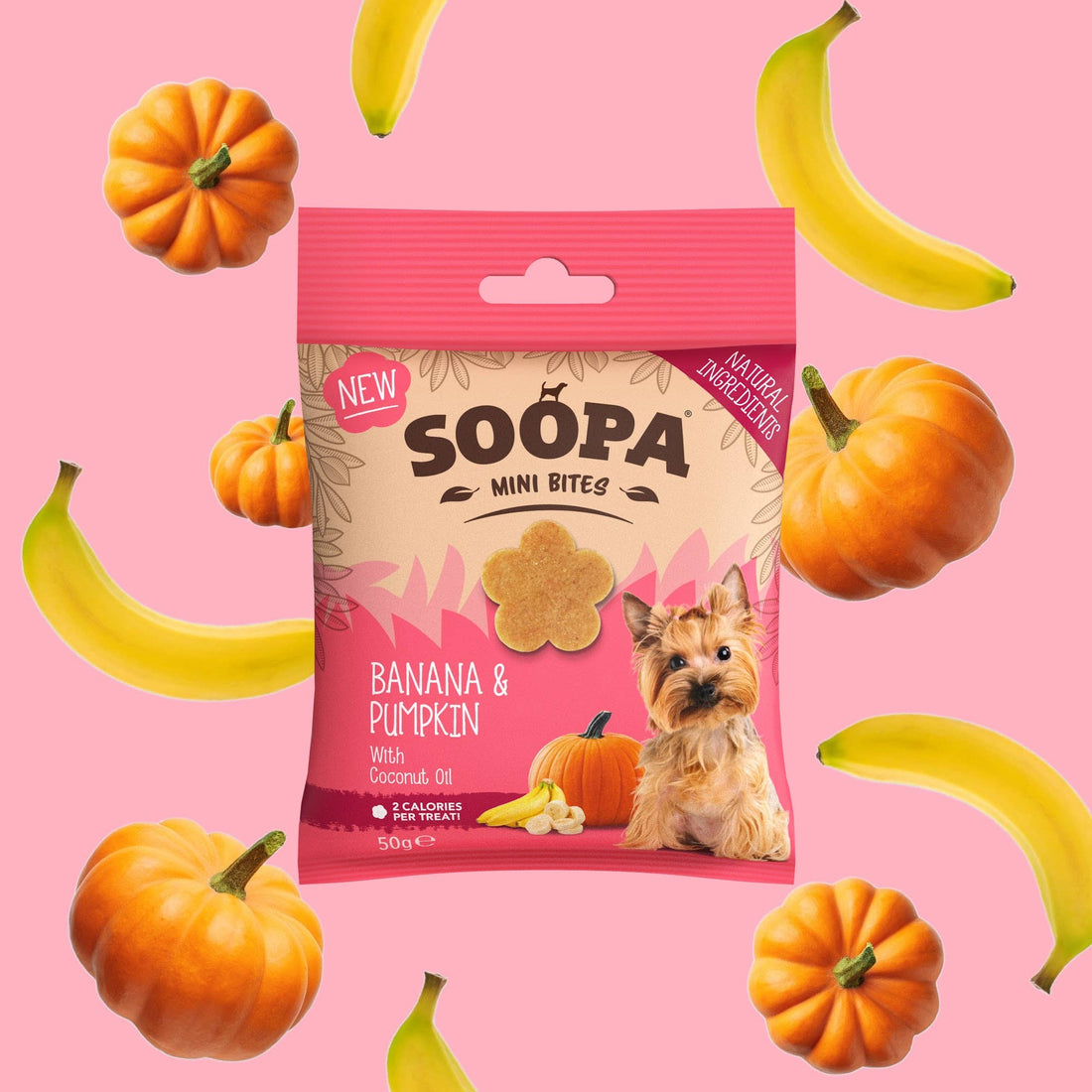 Natural Vegan Mini Dog Healthy Bites - Banana &amp; Pumpkin - Share Happy Outfits