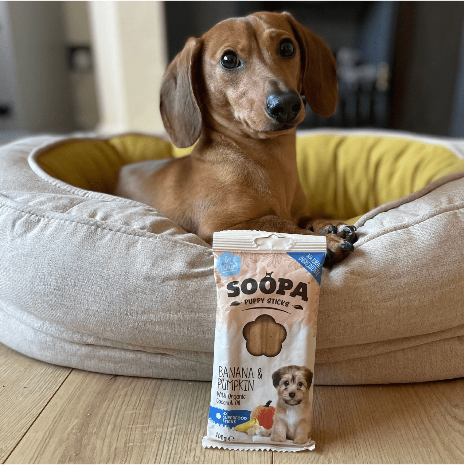 Natural Vegan Puppy Dental Treat - Banana &amp; Pumpkin Sticks - Share Happy Outfits