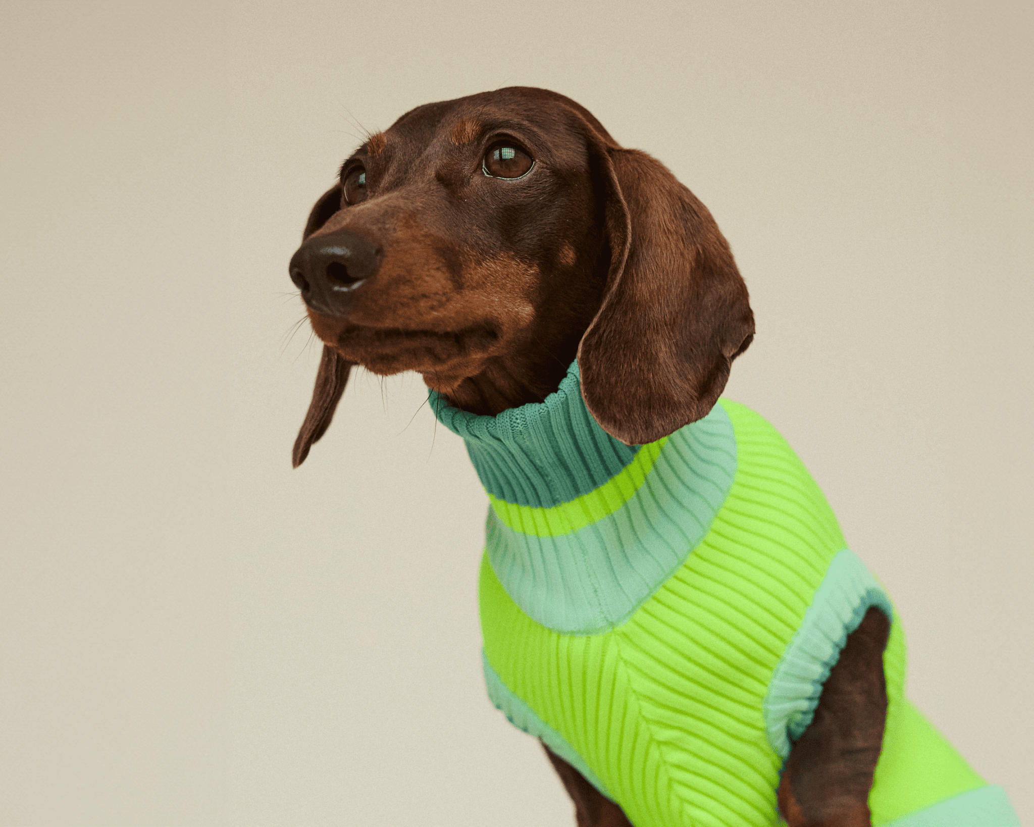 Neon Matcha  – The Glow Jumper - Share Happy Outfits