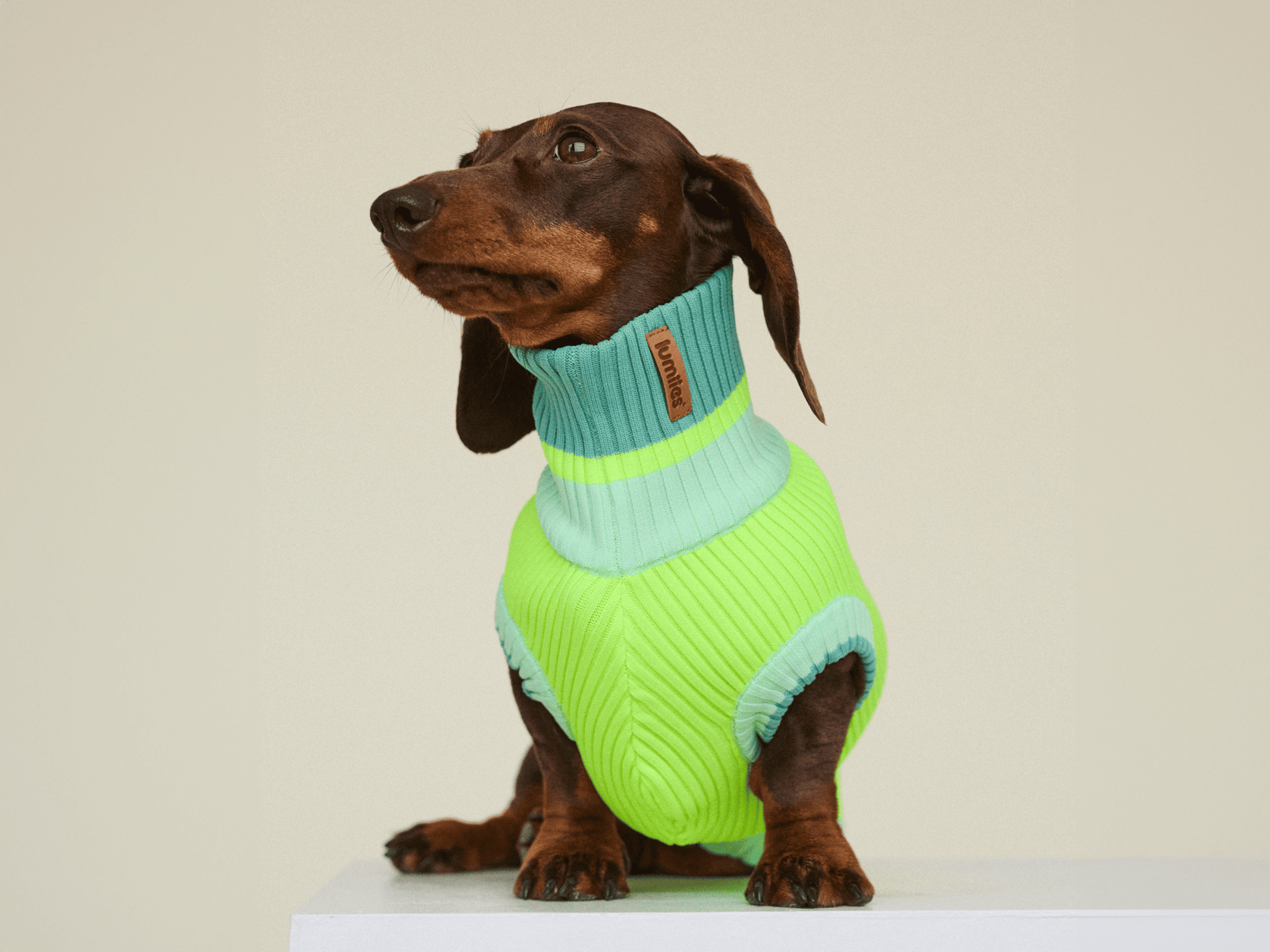 Neon Matcha  – The Glow Jumper - Share Happy Outfits