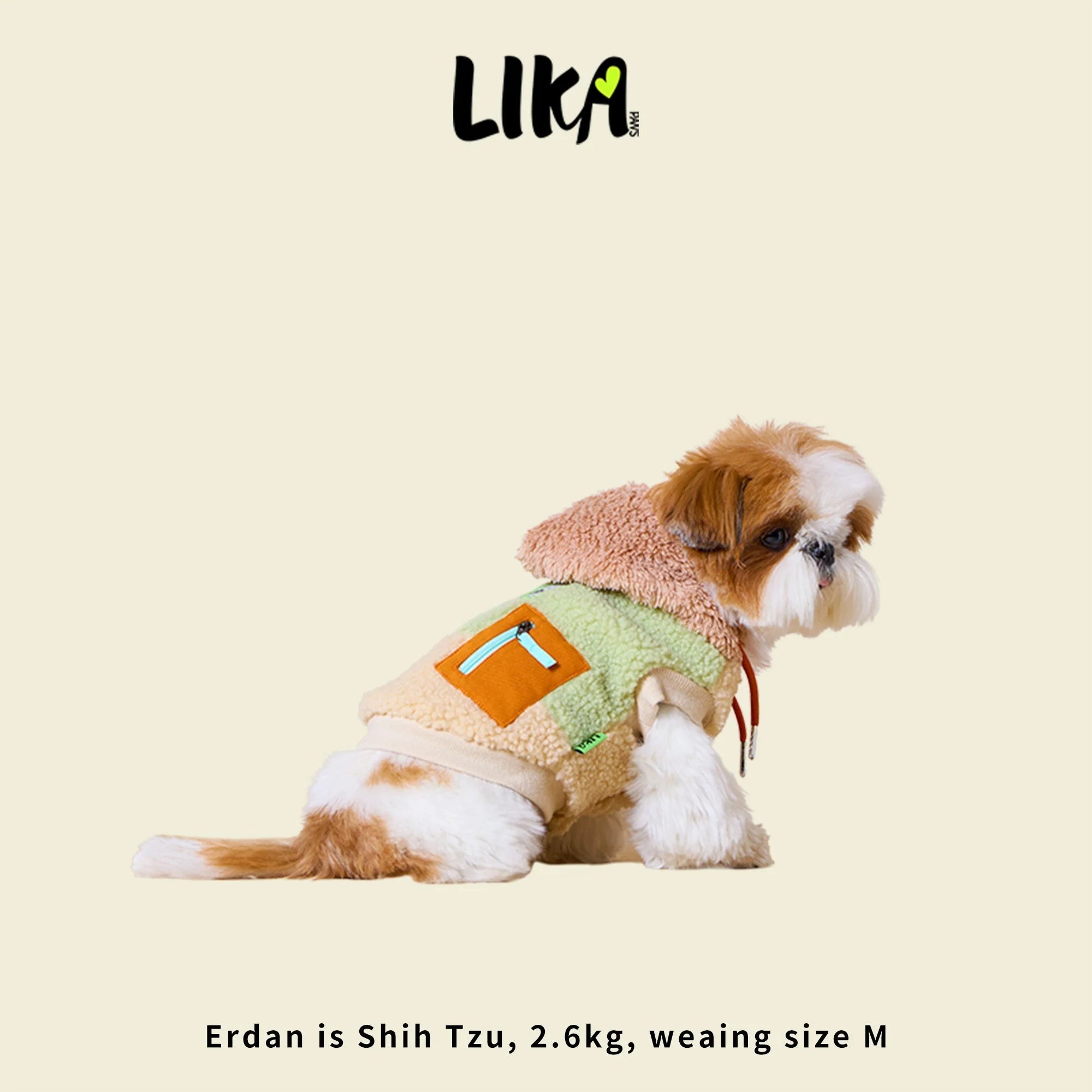Small dog wearing a green and brown outfit with &
