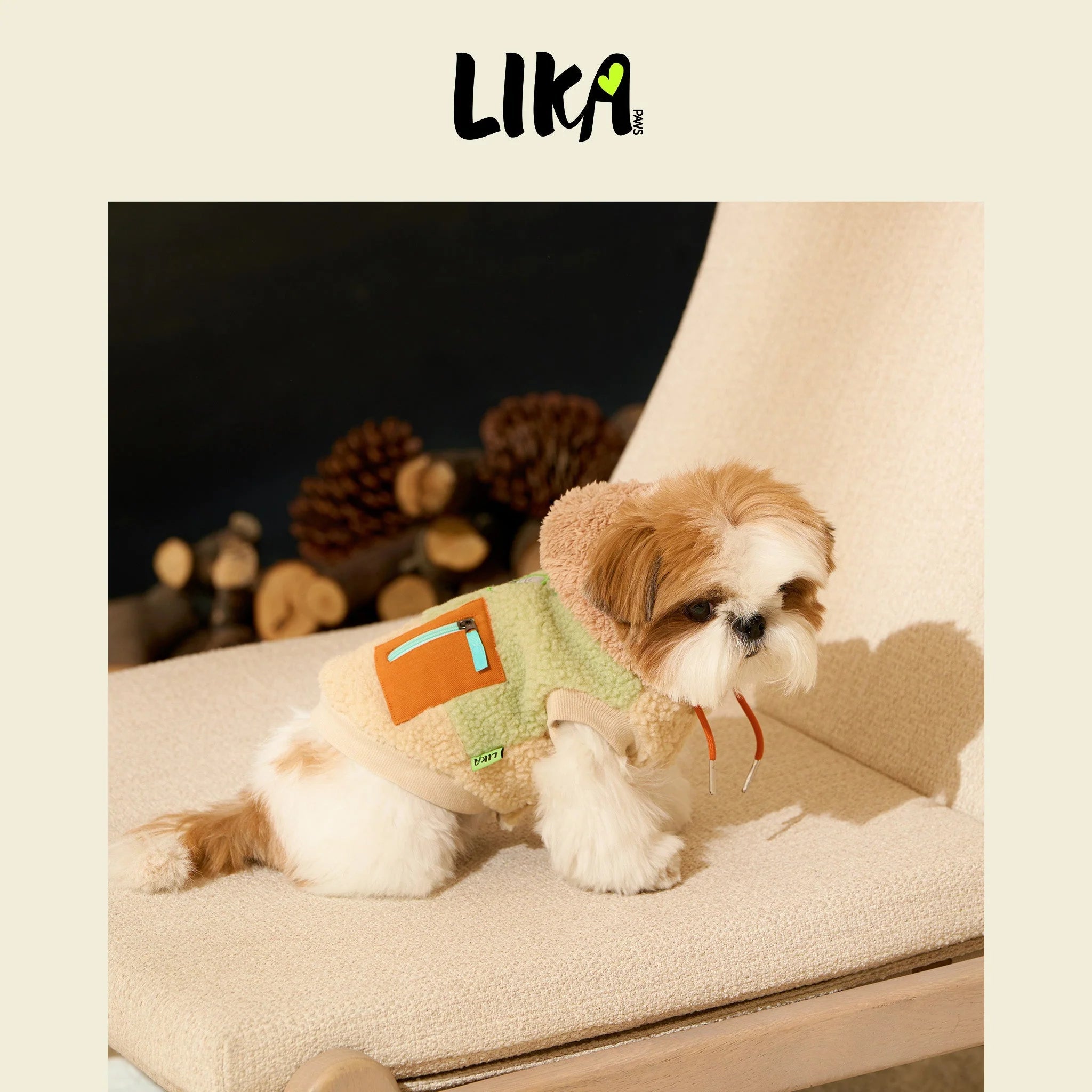 Small dog wearing a green sweater with an orange patch, sitting on a beige surface.