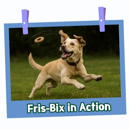 Park Life Fris-Bix – Peanut Butter Dog Treats – Interactive Frisbee Biscuits – Grain-Free &amp; Natural (100g) - Share Happy Outfits