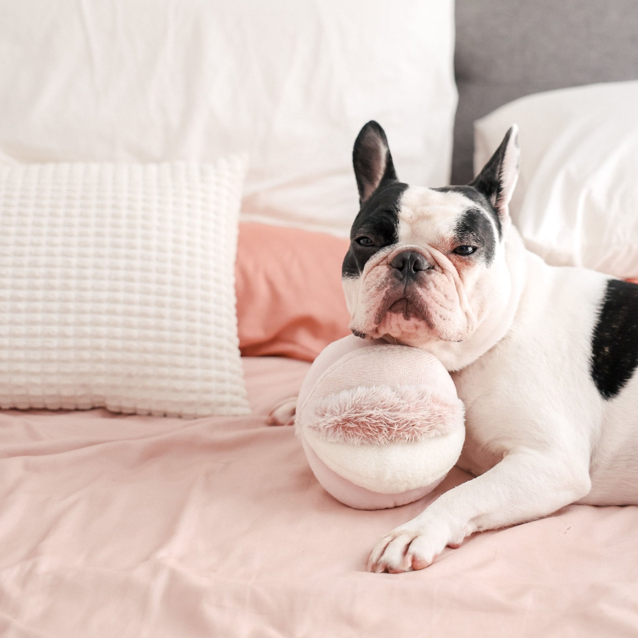 Pink Toto – Sensory Snuffle Ball for Dogs - Share Happy Outfits