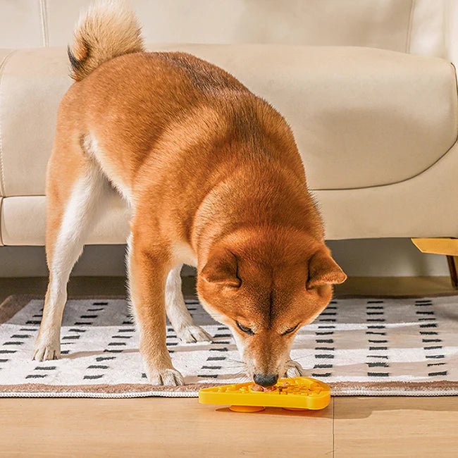 Dog eating from a yellow bowl on a patterned rug in a living room.