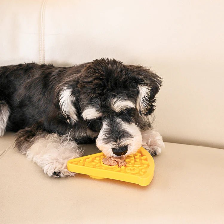 Dog interacting with a yellow dog toy on a beige couch