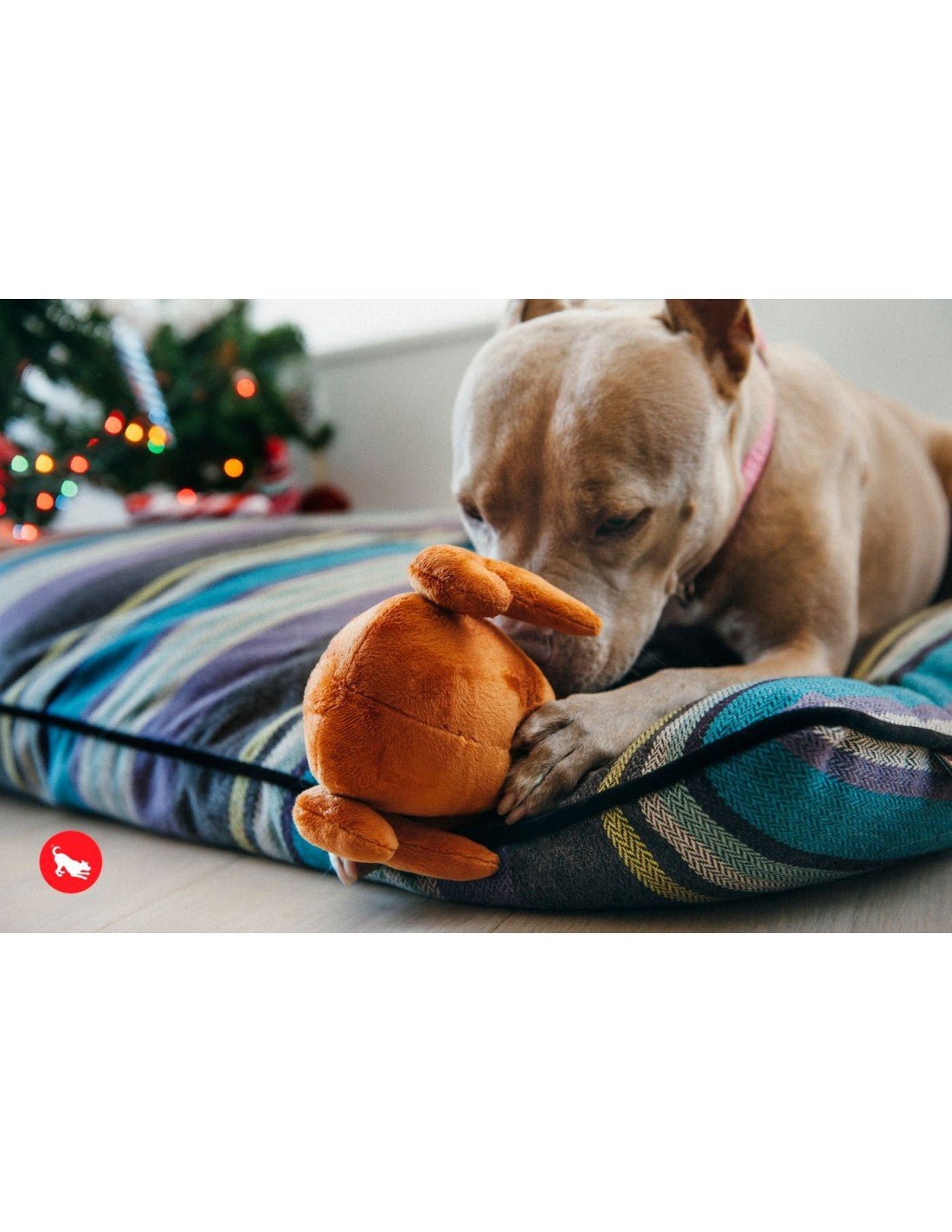Dog playing with a plush toy on a striped mat with a blurred festive background
