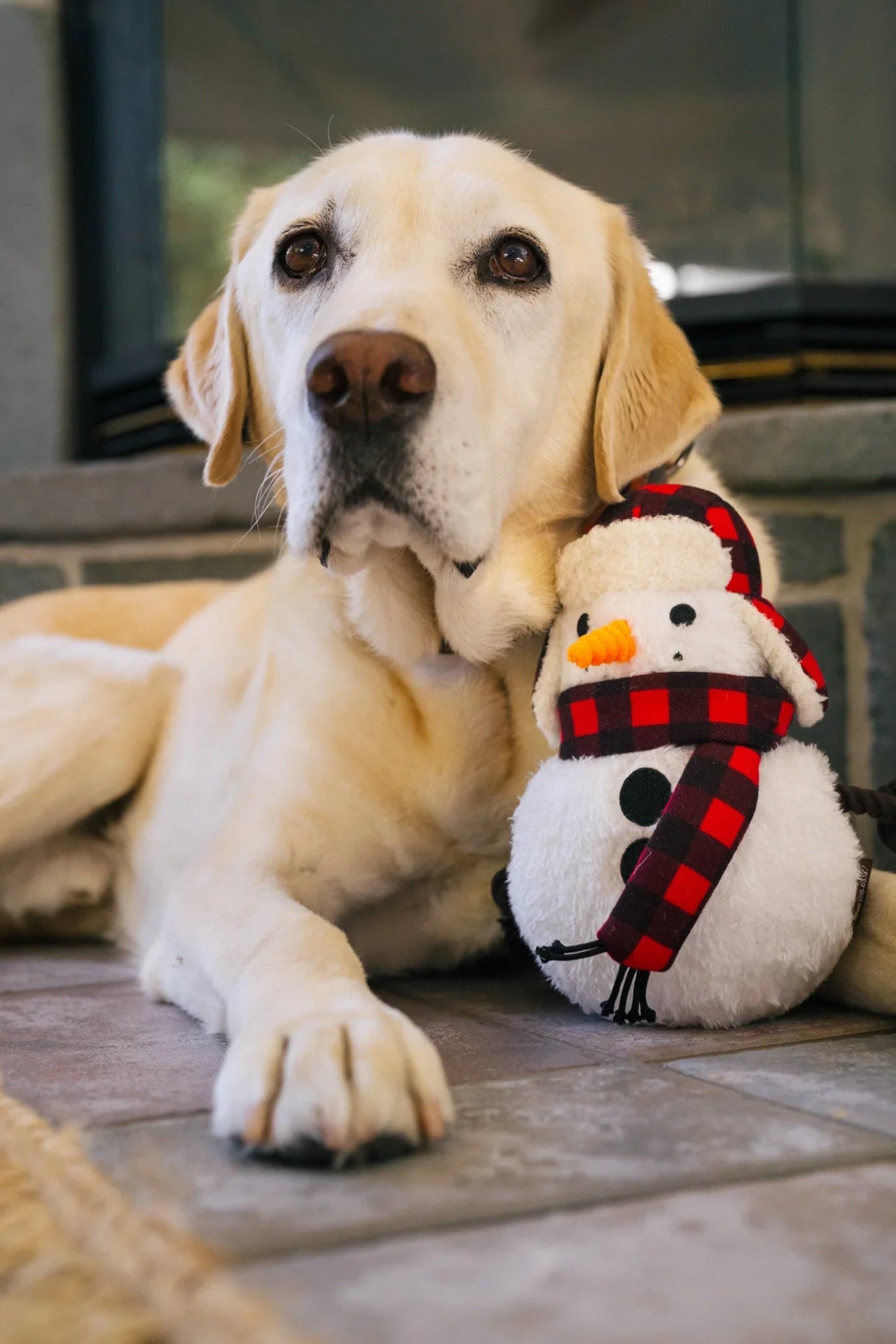 Dog lying on a wooden floor with a snowman toy wearing a red scarf.