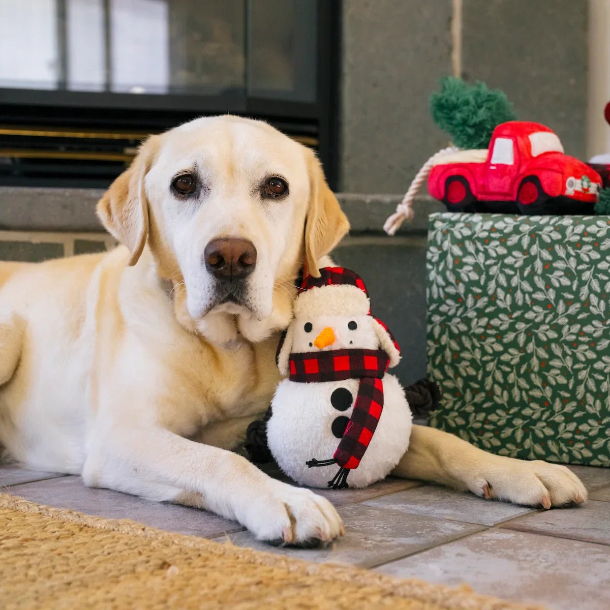Dog lying on a floor with a snowman toy and Christmas tree toy in the background.