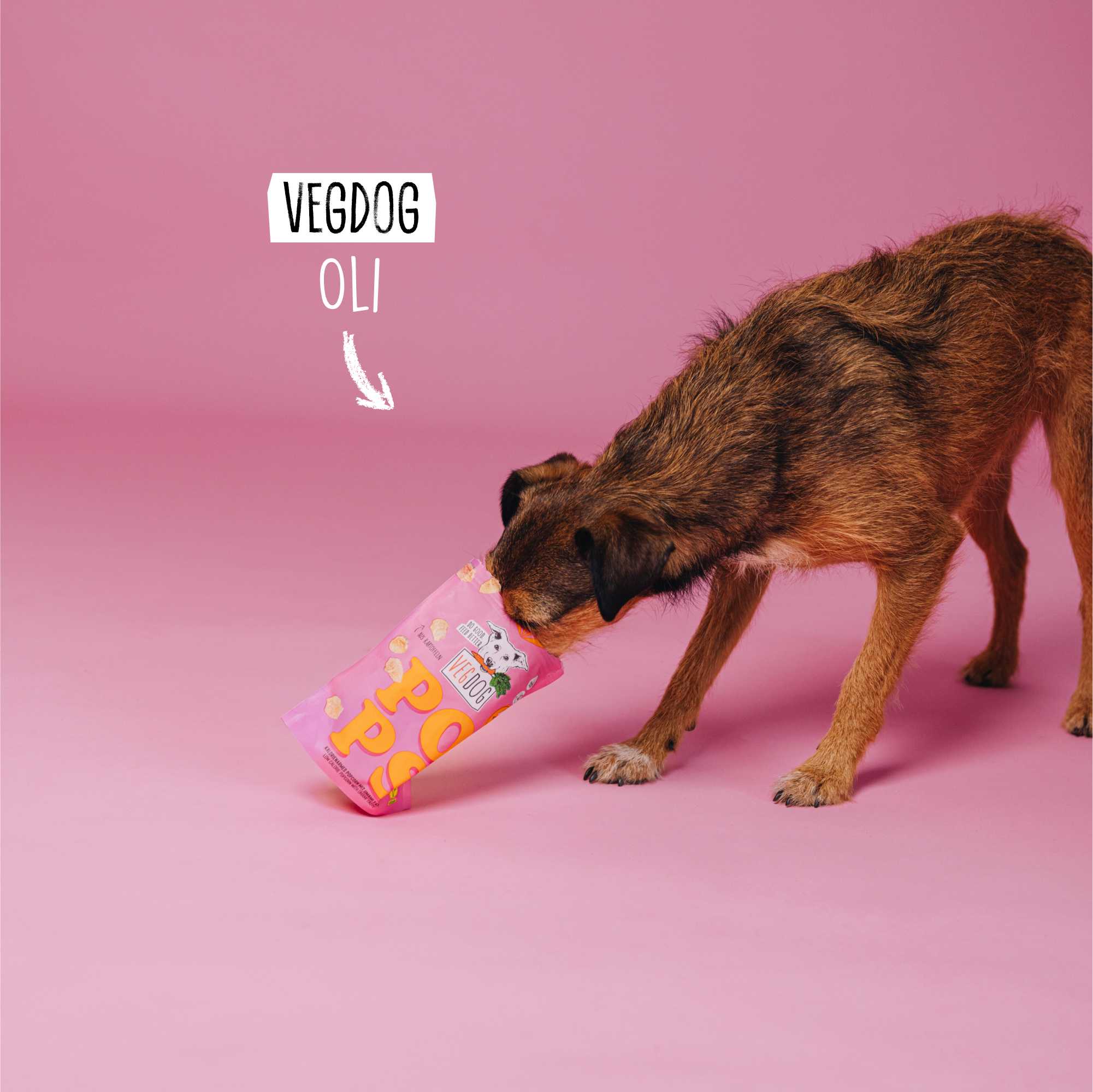Dog sniffing a pink bottle labeled &