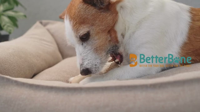 How-to pick the right BetterBone all-natural chew toy guideline no rubber toy by density, taste and size