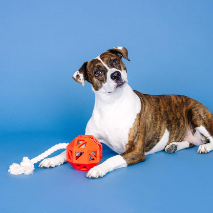 &quot;Pull My Way&quot; Rubber Dog Toy – Treat Dispenser &amp; Tug Toy