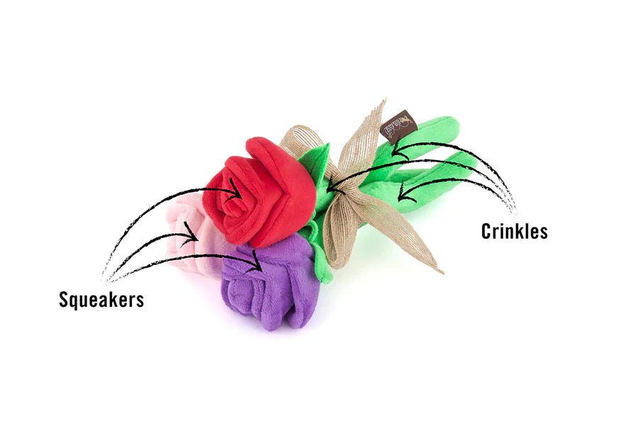 Colorful cat toy with labeled squeakers and crinkles on a white background
