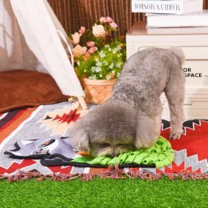 Dog on a rug with a decorative blanket and flowers in the background