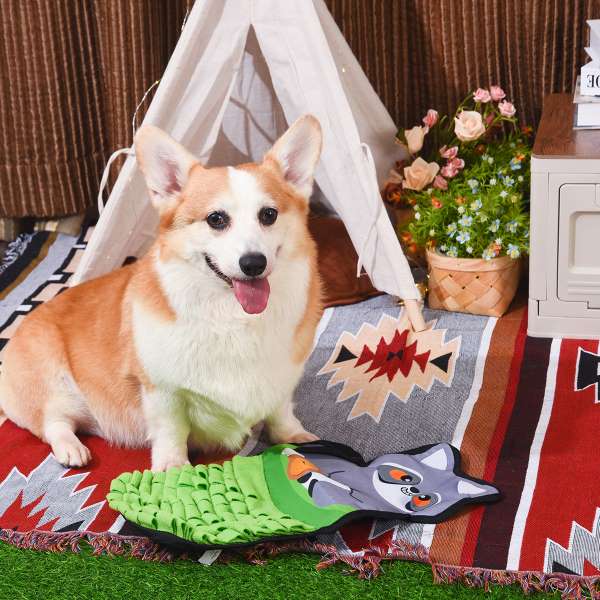 Corgi dog sitting on a patterned rug with a green and gray dog toy in front of it.
