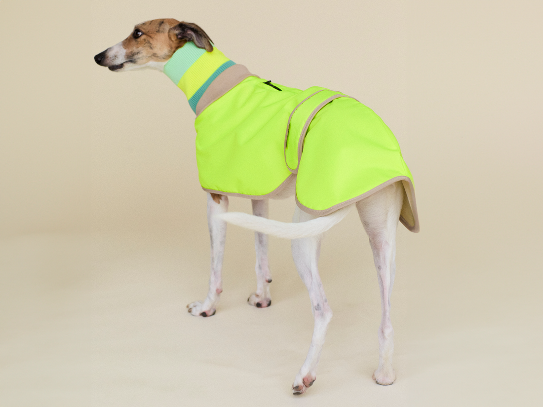 The Glow Raincoat - Yellow - Regular Fit - Share Happy Outfits