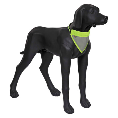Black dog wearing a green and gray reflective vest on a white background