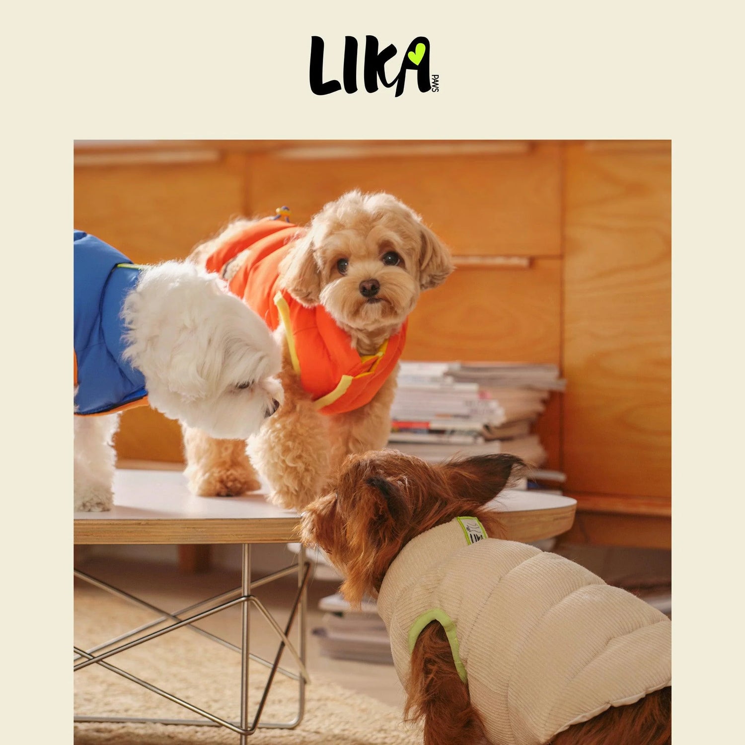 Nordic Style Reversible Padded Dog Jacket