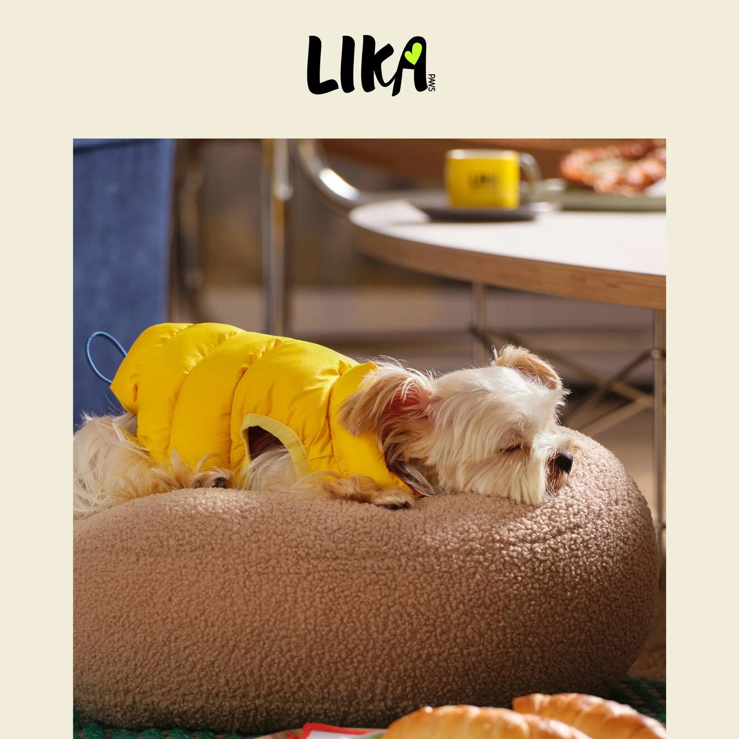 Nordic Style Reversible Padded Dog Jacket