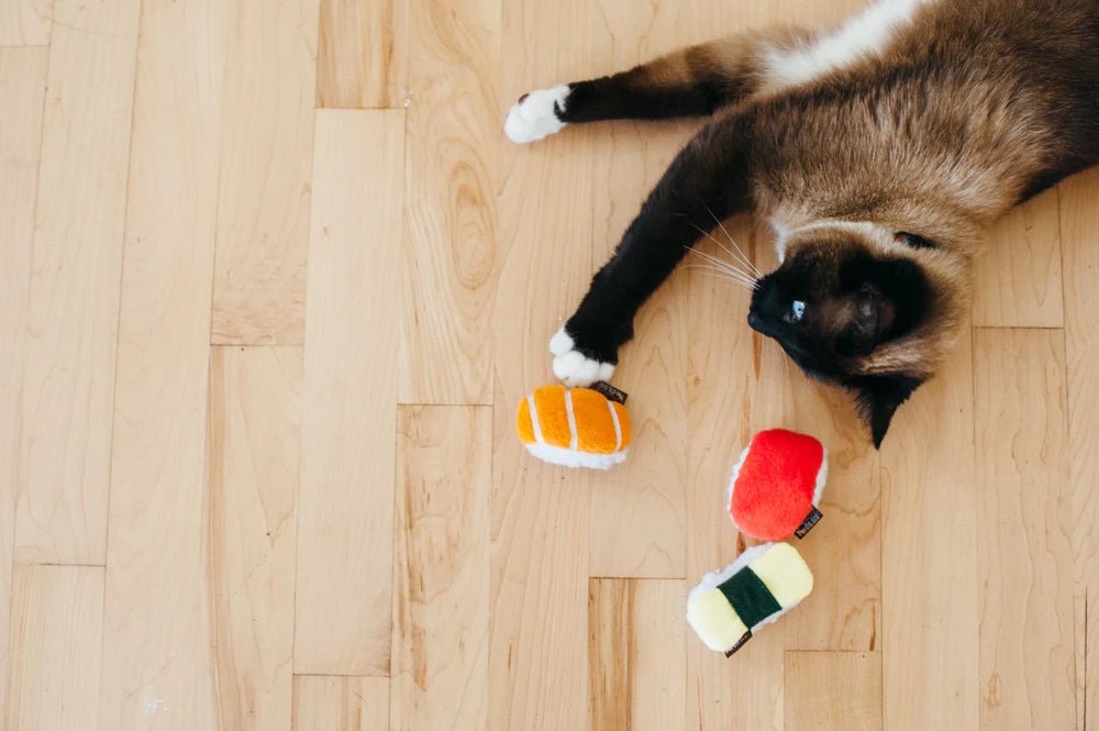 Sassy Sushi Cat Toy Set - Interactive Play &amp; Indoor En﻿richment - Share Happy Outfits