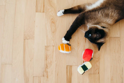 Sassy Sushi Cat Toy Set - Interactive Play &amp; Indoor En﻿richment - Share Happy Outfits