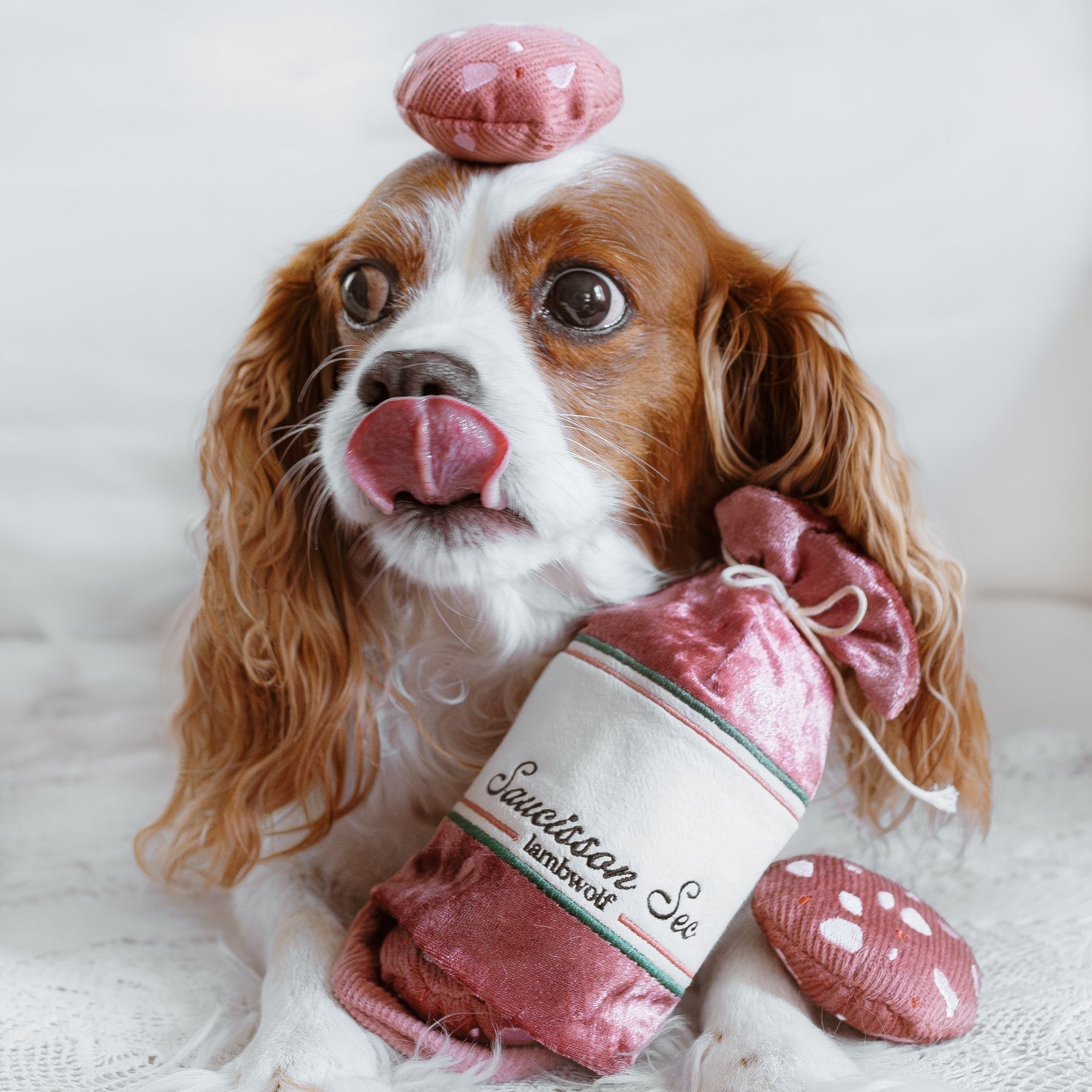 Saucisson – Challenging Burrow &amp; Snuffle Dog Toy - Share Happy Outfits