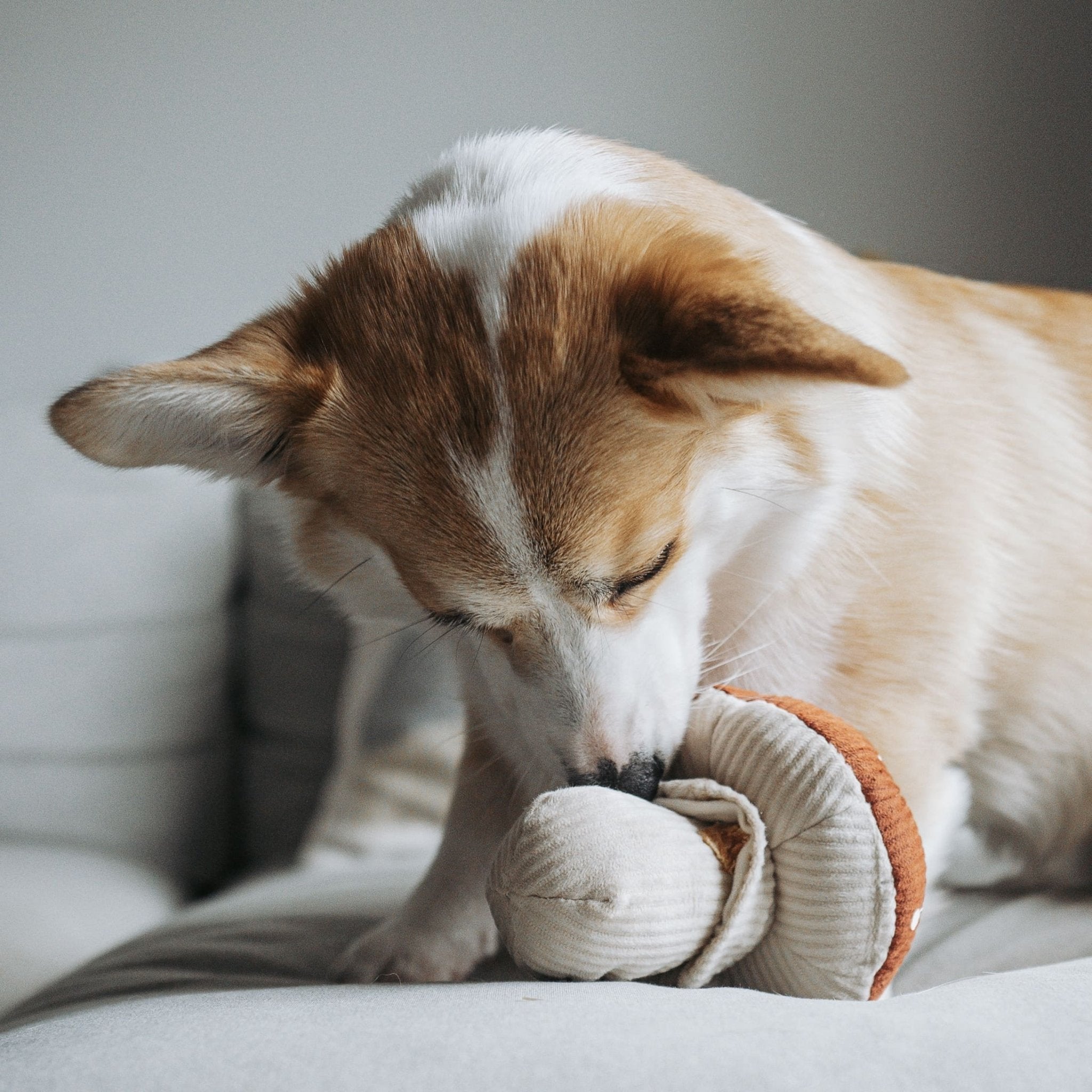 Shroom - Interactive Snuffle &amp; Burrow Dog Toy - Share Happy Outfits