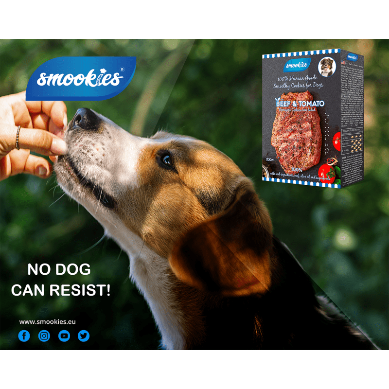 Hund fodres med en godbid med Smookies emballage og mærkning i baggrunden